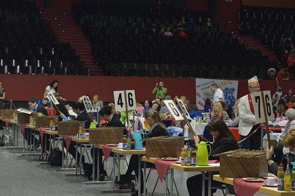 20151121Tanztunier der Karnevalisten __2.jpg - Sa. 21.11.2015,Hannover (Foto:Herbert Frost)